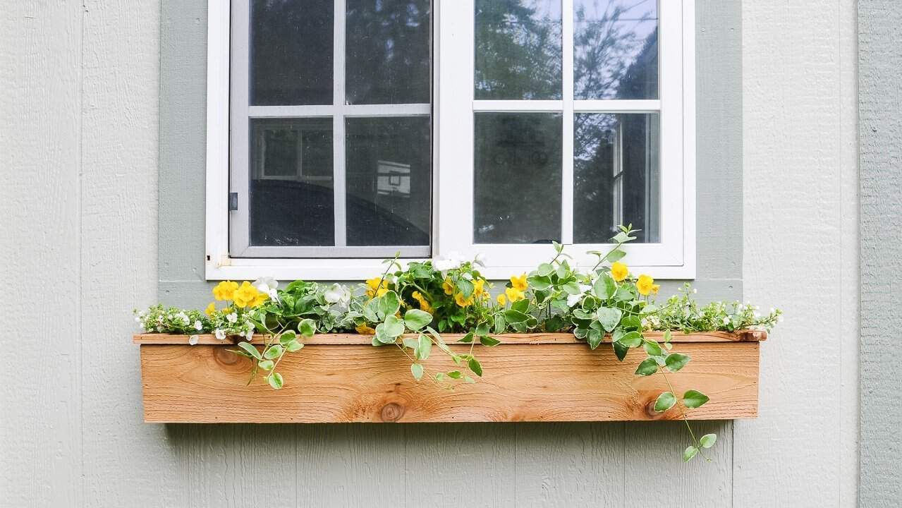 simple home garden