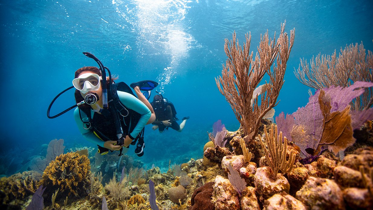 scuba diving lessons for beginners near me