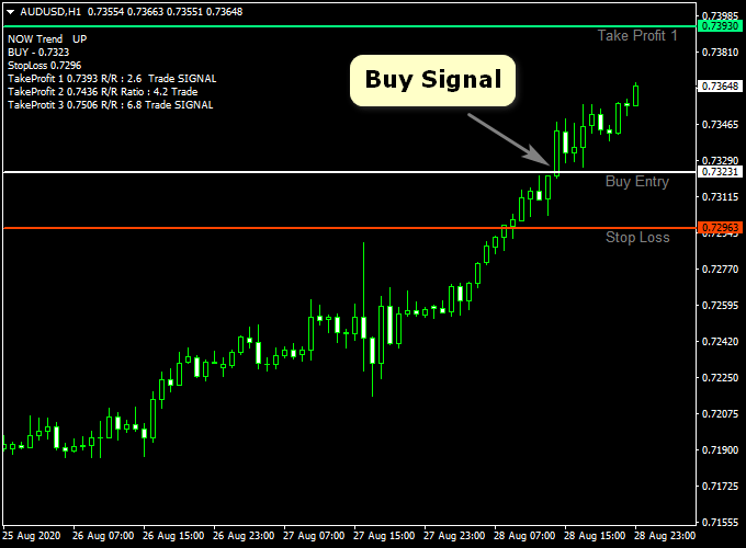 things to know about forex