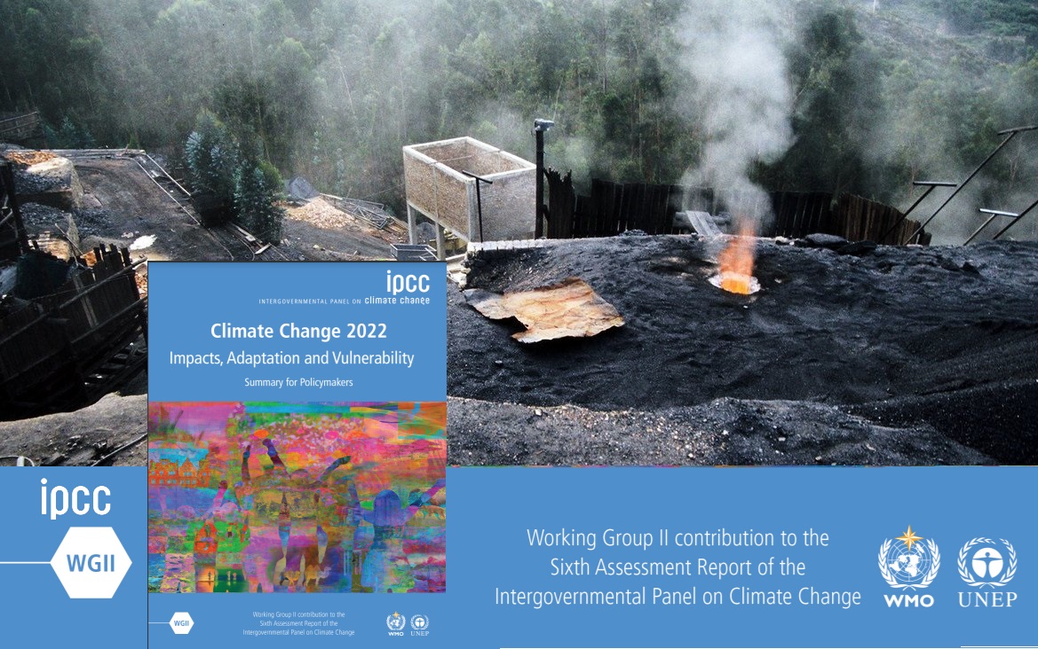 impacts of climate change
