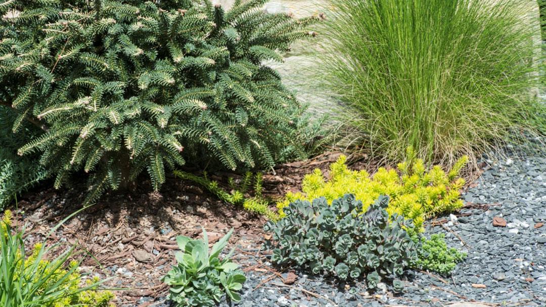 Building a Balcony Garden Inspiration
