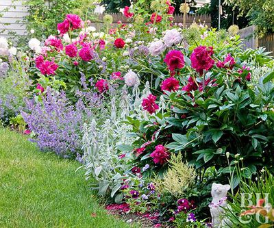 garden planting tips