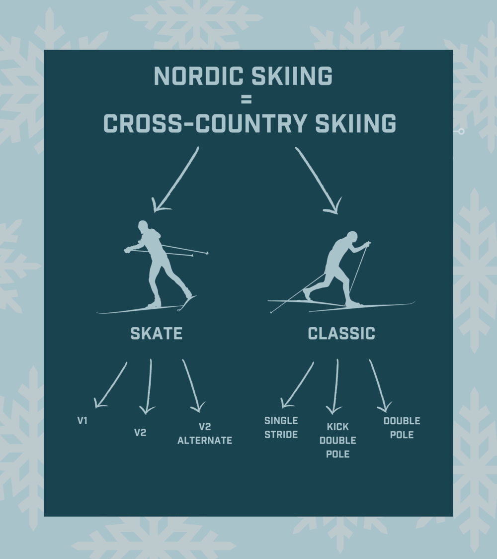 alpine skiing rules