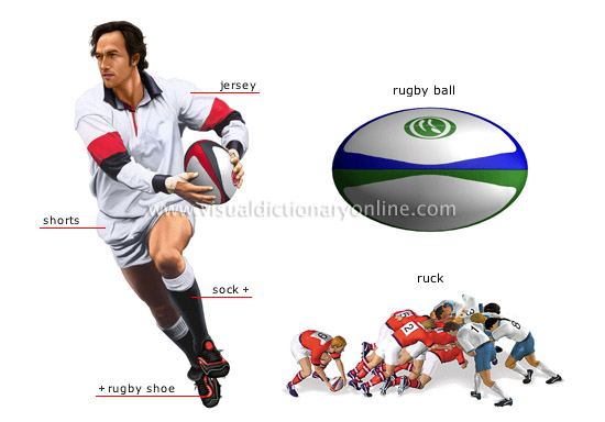 players rugby